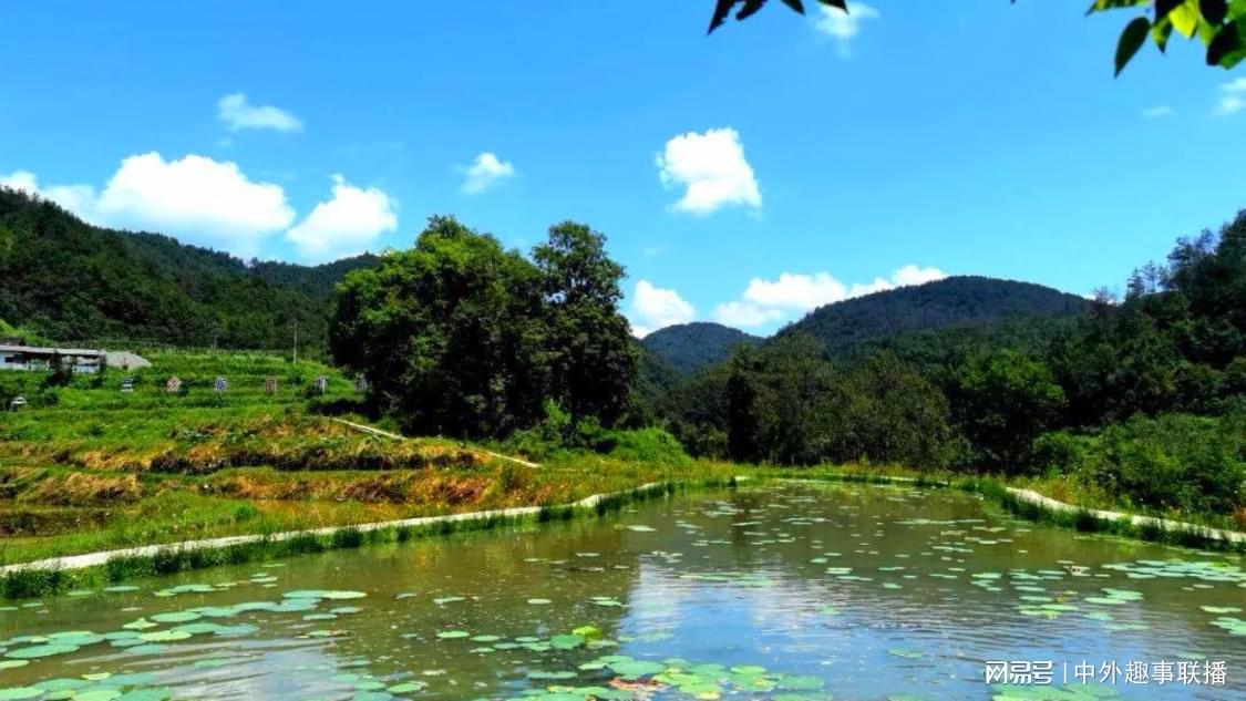 投票24小时自助服务平台