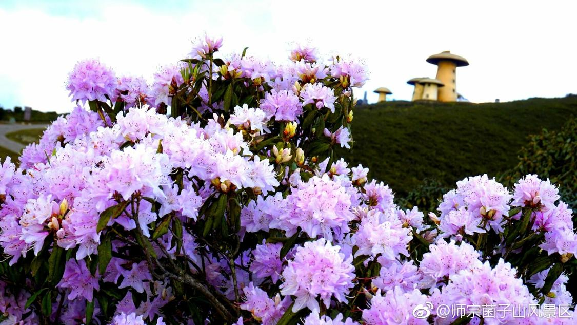 特朗普喊话让普京收手