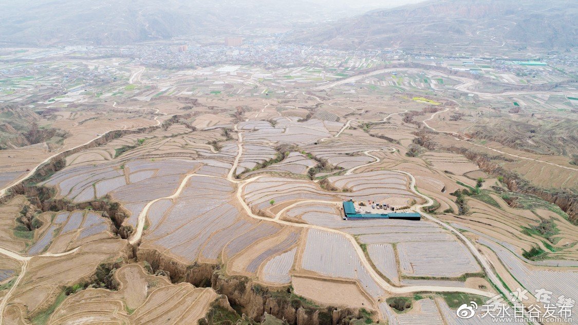 陈奕恒大屏怼脸生图